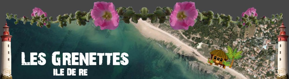 Maison 10 pers.  louer  SAINTE-MARIE-DE-RE, Ile de R, Charente-Maritime